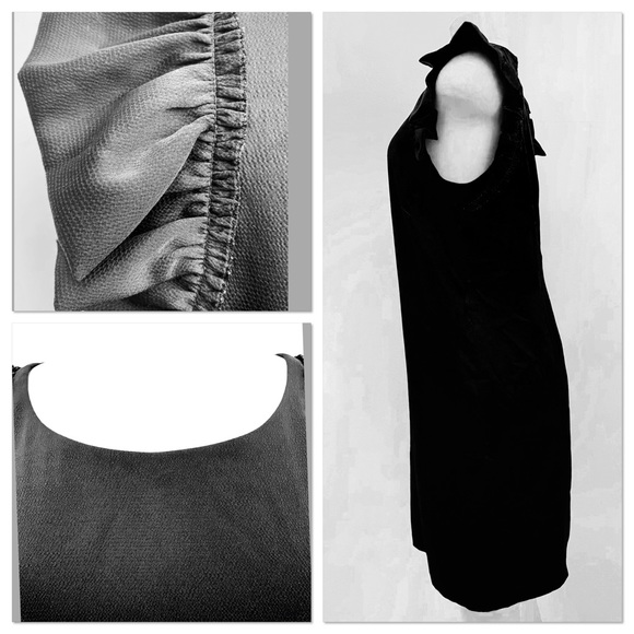 Ann Taylor Ruffled Sleeve shift Dress - Picture 3 of 3